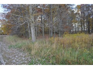 Property photo 67 - 127 Acres Offered in 8 Tracts - Allen & Dekalb County Land